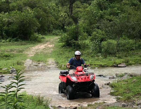 Safari a la Quebrada de Arteaga